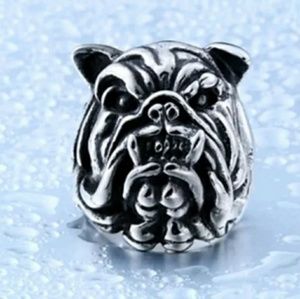 Stainless  steel  ring